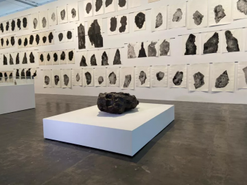 Bienal Internacional de Arte XX