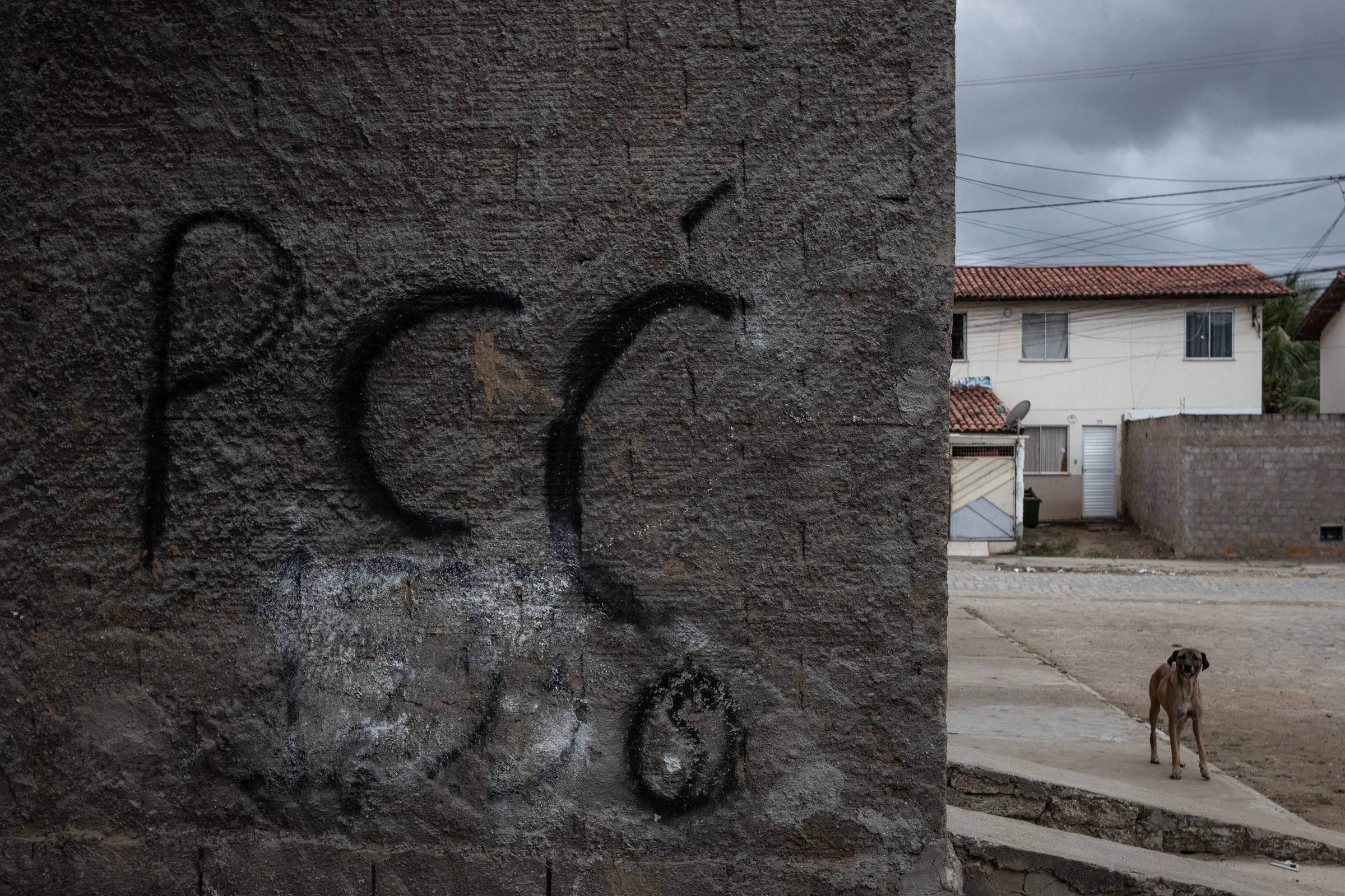 Combate ao crime não é feito por rótulos