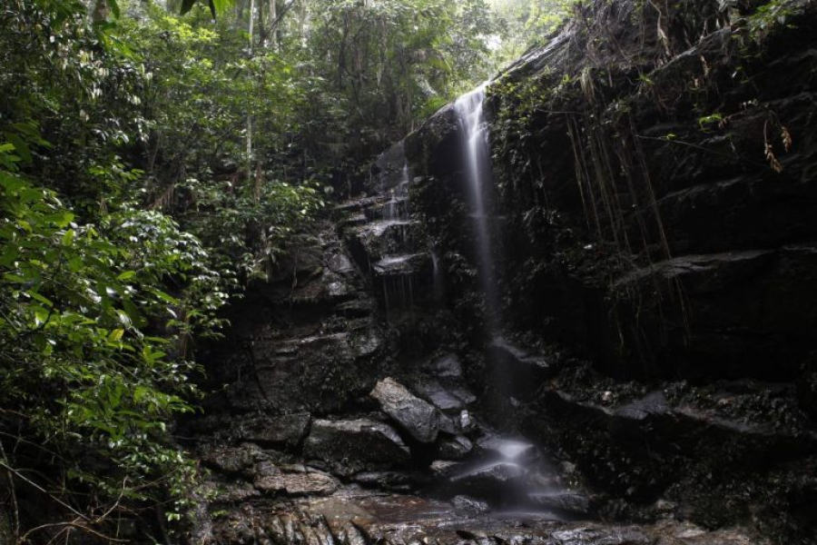 Parque Nacional da Tijuca